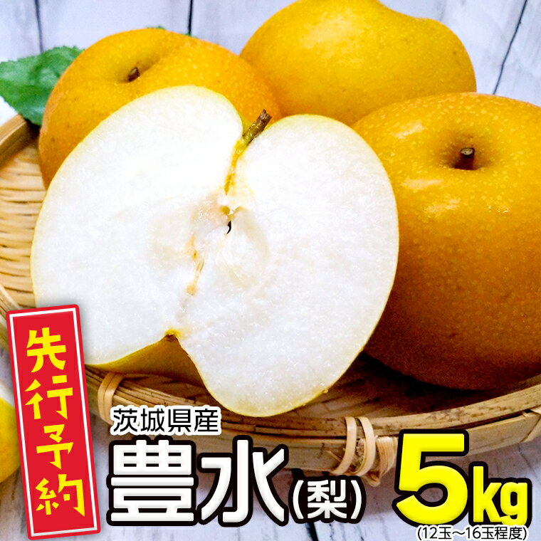 [ 先行予約 ]茨城県産 梨 豊水 (約 5kg )[ 2024年 8月中旬頃より発送開始 ] 梨 なし 果物 フルーツ 新鮮 旬 期間限定 甘い 国産