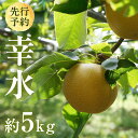 【ふるさと納税】【 2025年8月上旬発送開始 】 茨城県産 梨 幸水 (約 5kg ) 10~16玉 梨 なし 和梨 日本梨 果物 フルーツ 新鮮 旬 期間限定 国産 先行予約
