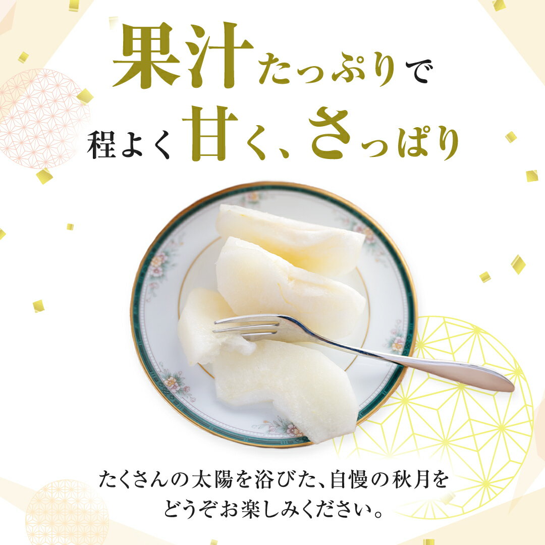 【ふるさと納税】 【 2025年9月上旬発送開始 】 茨城県産 梨 秋月 （約 5kg ） 10～16玉 フルーツ 果物 なし ナシ 旬 新鮮 期間限定 甘い 国産 先行予約