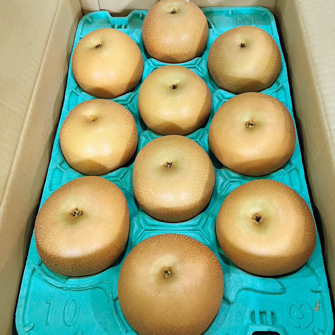 【ふるさと納税】 【 2025年9月上旬発送開始 】 茨城県産 梨 秋月 （約 5kg ） 10～16玉 フルーツ 果物 なし ナシ 旬 新鮮 期間限定 甘い 国産 先行予約