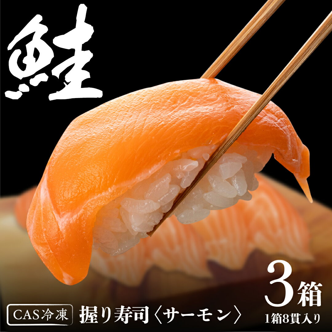 【ふるさと納税】サーモン推し！ 冷凍握り寿司 24貫 CAS精密冷凍 すし 寿司 サーモン 鮭 ネギトロ