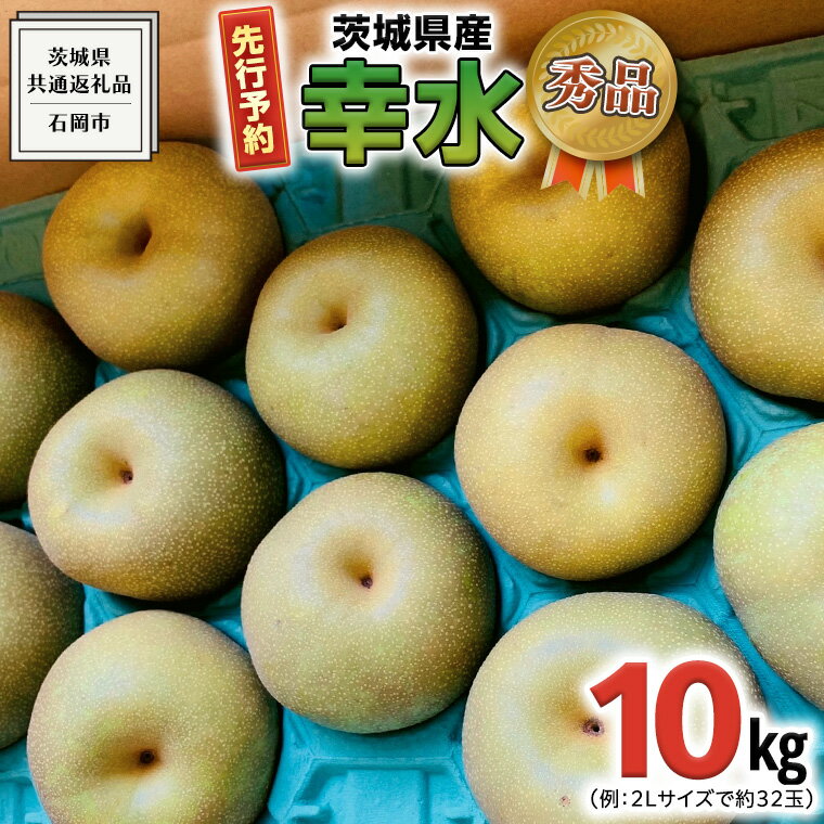 【ふるさと納税】【 2024年8月上旬発送予定】 【 秀品 】 茨城県産 梨 幸水 10kg （ 茨城県共通返礼品：石岡市 ） 【 2024年 発送分】 フルーツ 果物 なし ナシ 旬 新鮮 旬 期間限定 甘い 国産のサムネイル