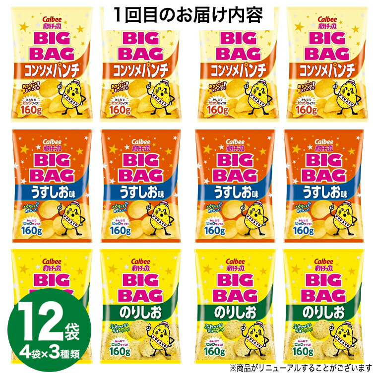 【ふるさと納税】 【 人気スナック菓子 3ヶ月 定期便 】 カルビー 湖池屋 人気 24種 詰め合わせ バラエティ セット カルビー 湖池屋 ポテチ スナック菓子 ( お楽しみ 24袋 ) BIGBAG 堅あげポテト ( 3種 各4袋 ) のりしお うすしお ブラックペッパー 定期便 頒布会 数量限定