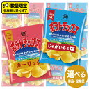 29位! 口コミ数「0件」評価「0」湖池屋 ポテトチップス 2種類アソート （じゃがいもと塩・ガーリック）（各12袋・計24袋）選べる配送 単品　または　三か月連続定期便 ポテ･･･ 