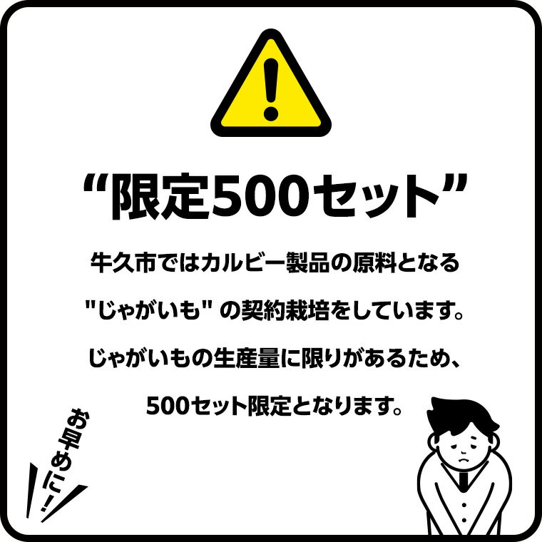 【ふるさと納税】カルビー ポテトチップス 60g 4種類 詰め合わせ 単品配送 計 24 袋 うすしお 6袋 コンソメ 6袋 のりしお 6袋 フレンチサラダ6袋 スナック おつまみ ジャガイモ じゃがいも まとめ買い 定期便 頒布会 連続定期便 数量限定