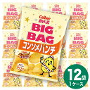 【ふるさと納税】カルビー ポテトチップス BIGBAG 15