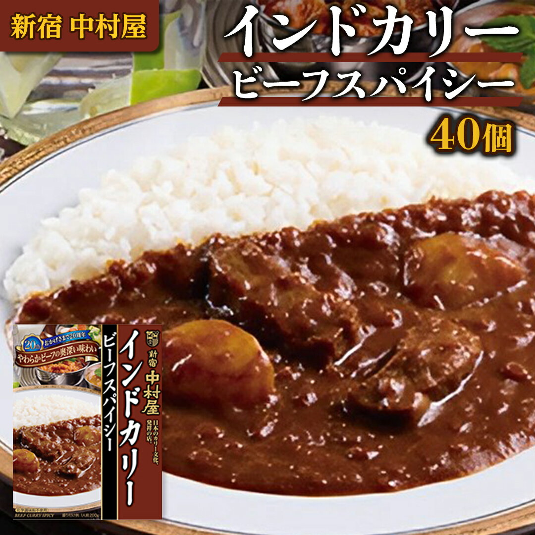 【ふるさと納税】新宿 中村屋 インドカリー ビーフスパイシー 40個 人気 洋食 レトルト 時短 カレー インドカレー スパイシーカレー 長期保存 災害用 保存食のサムネイル