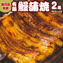 鹿児島県産 有頭 鰻 蒲焼 × 2尾 （ 1尾 135g ～ 155g 以上） うなぎ ウナギ 土用丑の日 家庭用 贅沢 国産 旬 敬老の日 タレ 山椒 付 縁起