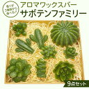 【ふるさと納税】《 選べる 香り 》 アロマワックスバー サボテンファミリー 9点セット ( ラベンダー or ホーウッド or スイートオレンジ / 緑色 )...