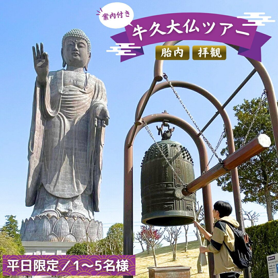 [ 案内付き ] 牛久大仏 胎内 拝観 ツアー ※ 平日限定 ※ ( 5名様まで ) 貸切 体験 参加券 体験チケット 観光