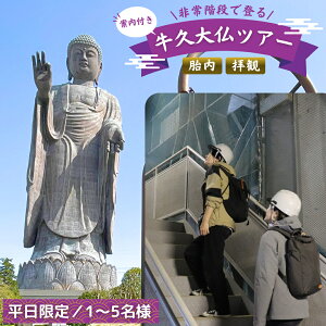 【ふるさと納税】《 案内付き 》 非常階段で登る 牛久大仏 胎内 拝観 ツアー ※ 平日限定 ※ （ 5名様まで ） 貸切 体験 参加券 体験チケット 観光