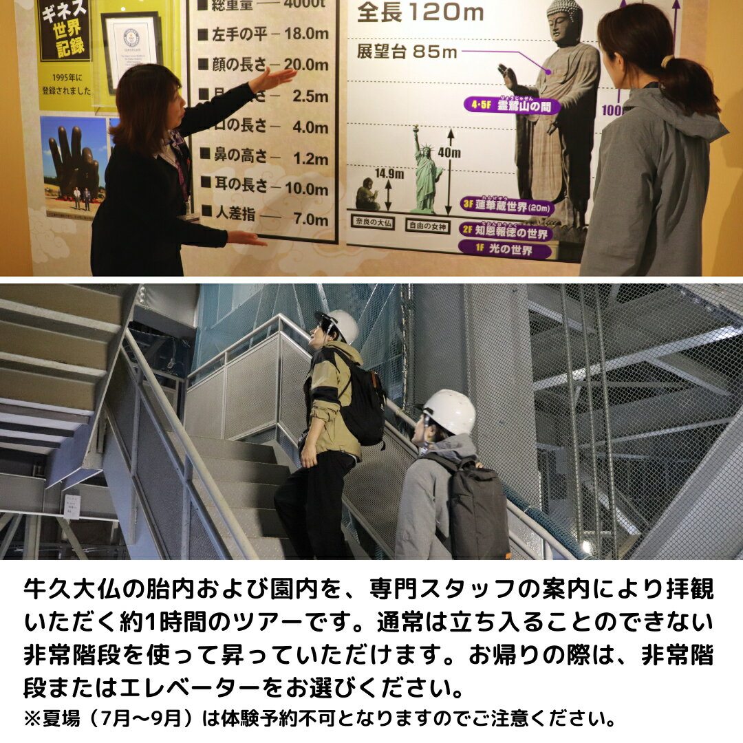 【ふるさと納税】《 案内付き 》 非常階段で登る 牛久大仏 胎内 拝観 ツアー ※ 平日限定 ※ （ 5名様まで ） 貸切 体験 参加券 体験チケット 観光その2