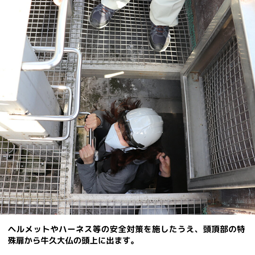 【ふるさと納税】地上120m 牛久大仏 最上部 螺髪 お身拭い 体験 ツアー ※ 平日限定 ※ （ 2名様まで ）ニノさん 日テレ 日本テレビ テレビ 紹介 ドローン 空撮撮影 貸切 参加券 体験チケット 観光 ペア ふるさと納税限定 ニノさん 日テレ 日本テレビ テレビ 紹介 3