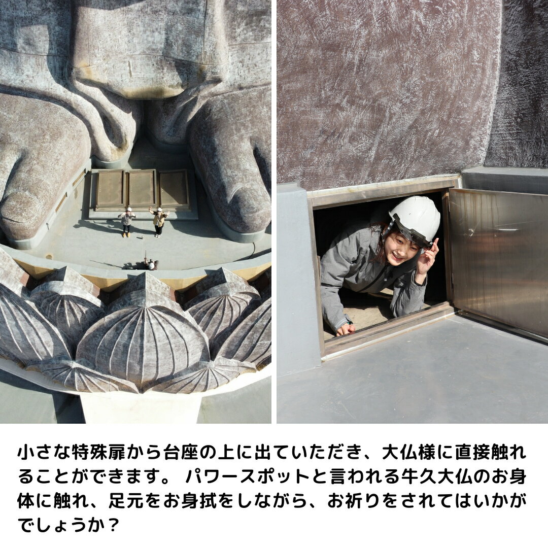 【ふるさと納税】地上20m 牛久大仏 足元 お身拭い 体験 ツアー ※ 平日限定 ※ （ 5名様まで ） 貸切 参加券 体験チケット 観光 ふるさと納税限定 3