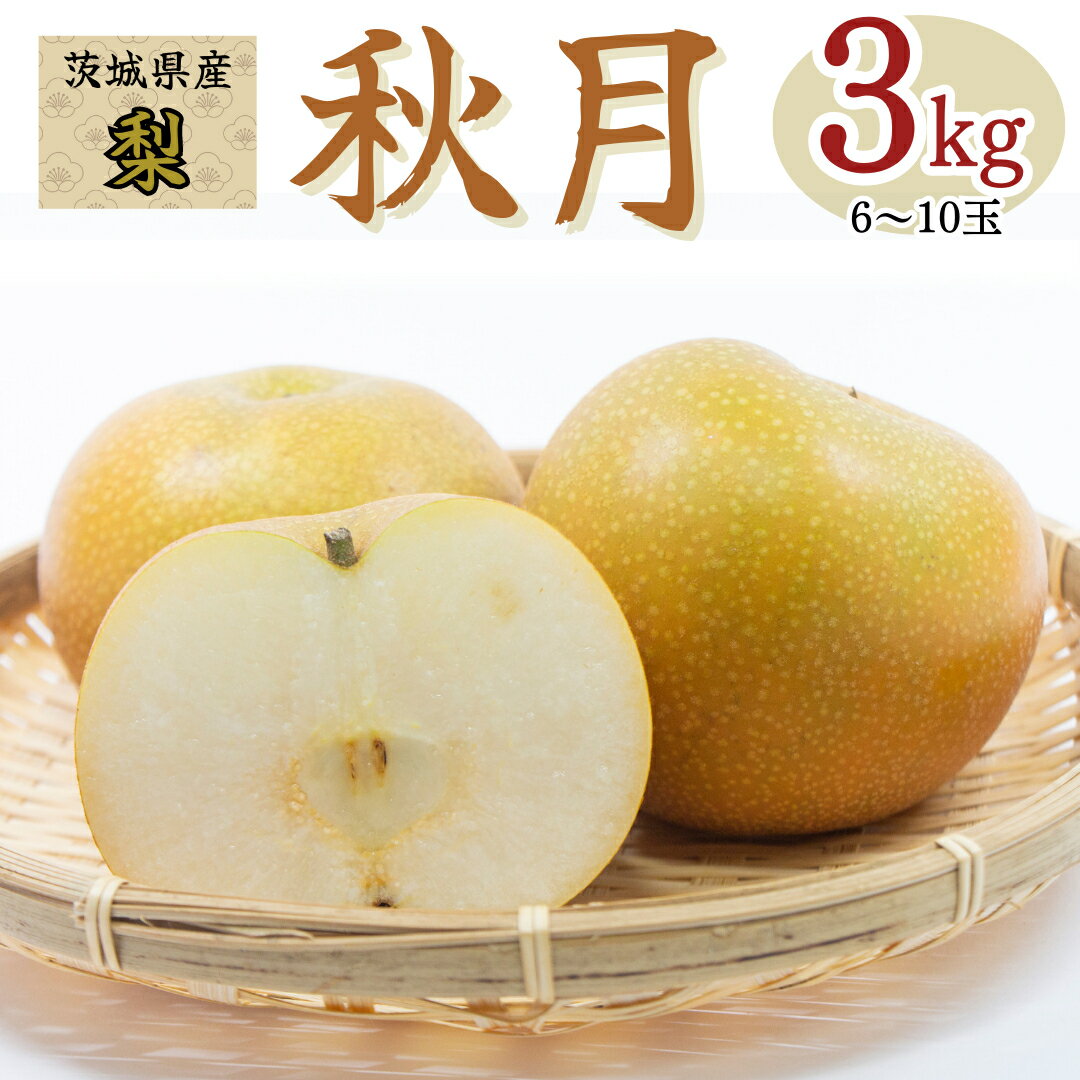 【ふるさと納税】 茨城県産 梨 秋月 3kg 6～10玉 フルーツ 果物 なし ナシ 旬 新鮮 旬 期間限定 甘い 国産のサムネイル