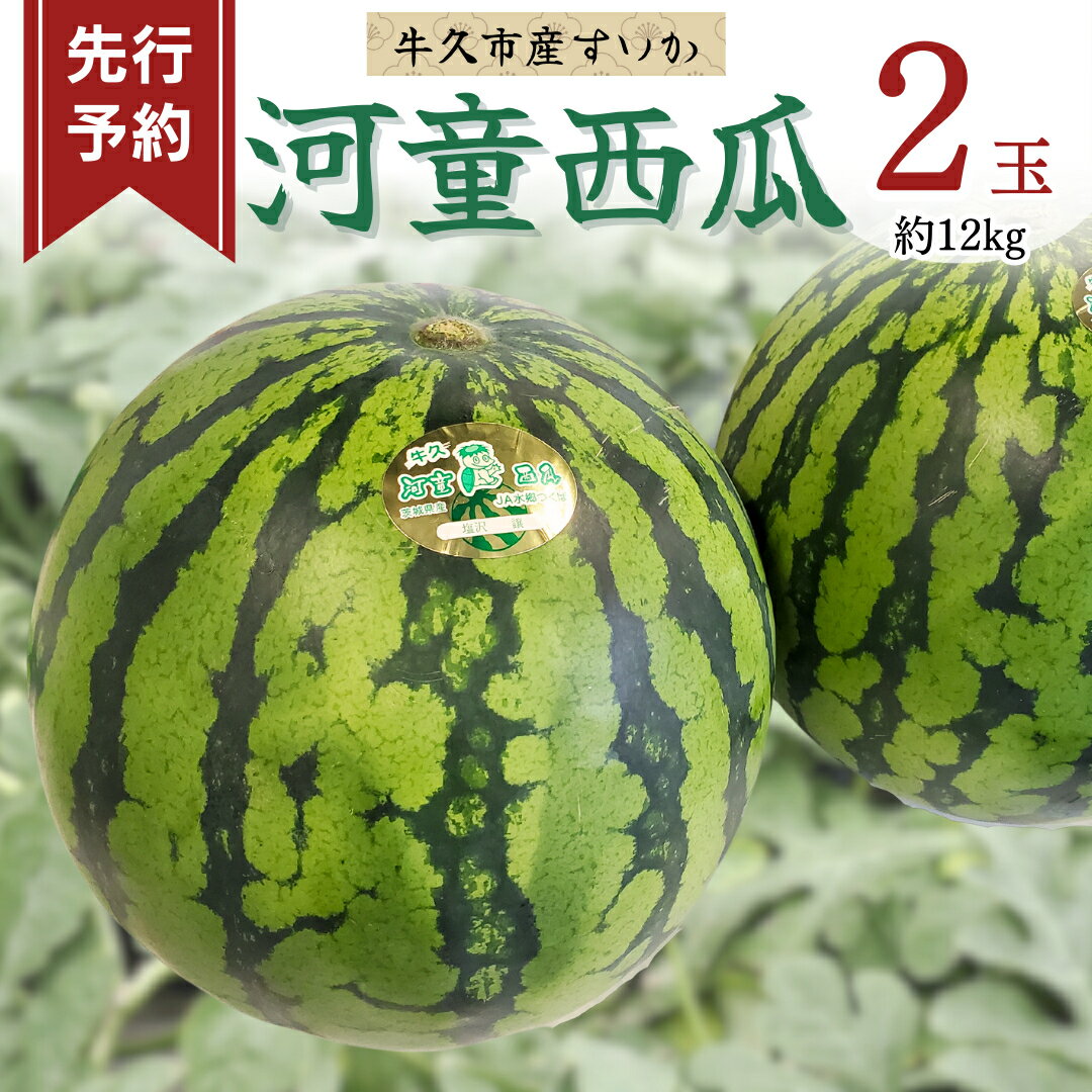 【ふるさと納税】《 先行予約 》 牛久市産 河童 西瓜 L 2玉 （約 12kg ）【 2024年 発送分】 果物 フ...