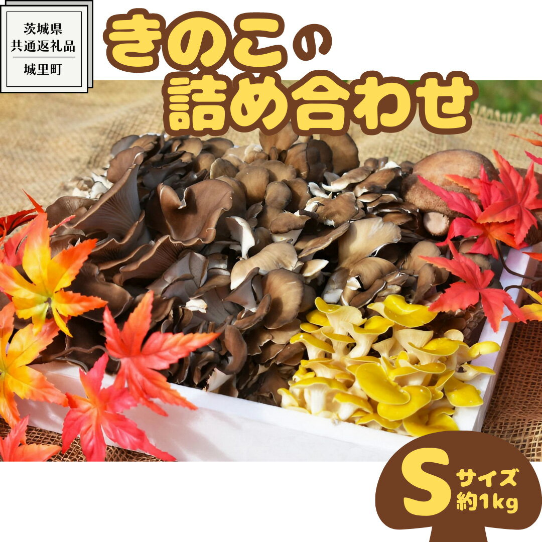 きのこ の 詰め合わせ Sサイズ ( 約1kg ) (茨城県共通返礼品:城里町) キノコ セット 野菜 低カロリー ダイエット デトックス バラエティ セット 新鮮