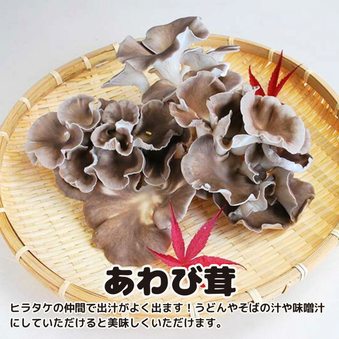 【ふるさと納税】きのこ の 詰め合わせ Sサイズ ( 約1kg ) （茨城県共通返礼品：城里町） キノコ セット 野菜 低カロリー ダイエット デトックス バラエティ セット 新鮮