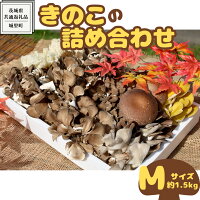 【ふるさと納税】きのこ の 詰め合わせ Mサイズ ( 約1.5kg ) (茨城県共通返礼品:城里町) キノコ セット 野菜 低カロリー ダイエット デトックス バラエティ セット 新鮮