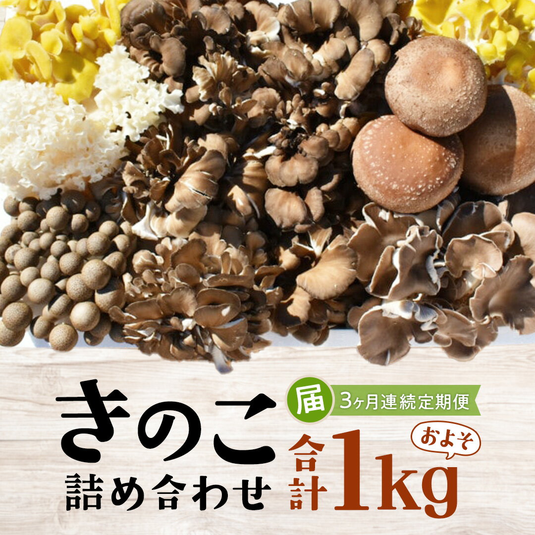 【ふるさと納税】【 3ヶ月連続定期便 】きのこ の 詰め合わせ Sサイズ ( 約1kg ) (茨城県共通返礼品:城里町) キノコ セット 野菜 低カロリー ダイ...