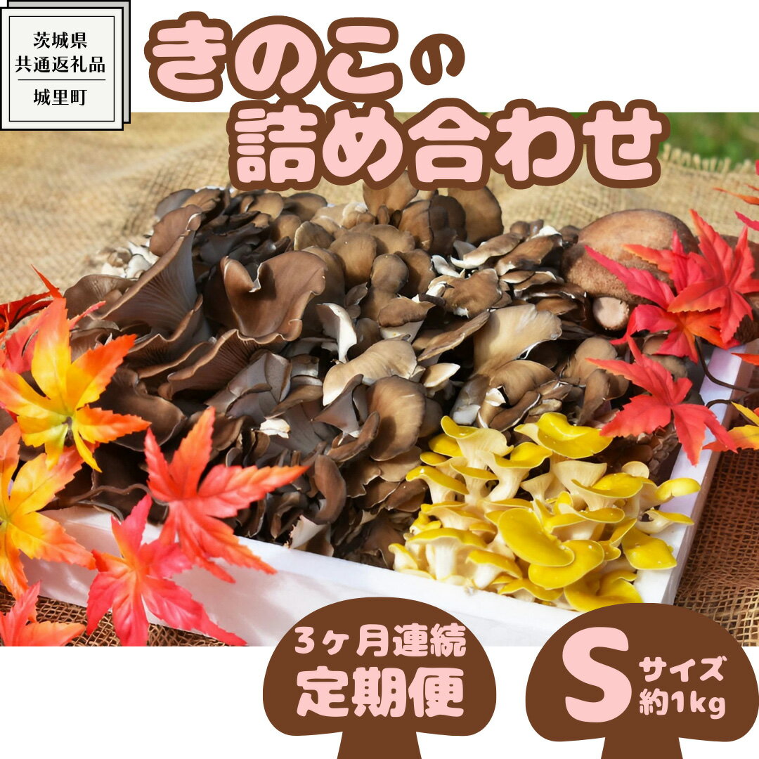 [ 3ヶ月連続定期便 ]きのこ の 詰め合わせ Sサイズ ( 約1kg ) (茨城県共通返礼品:城里町) キノコ セット 野菜 低カロリー ダイエット デトックス バラエティ セット 新鮮