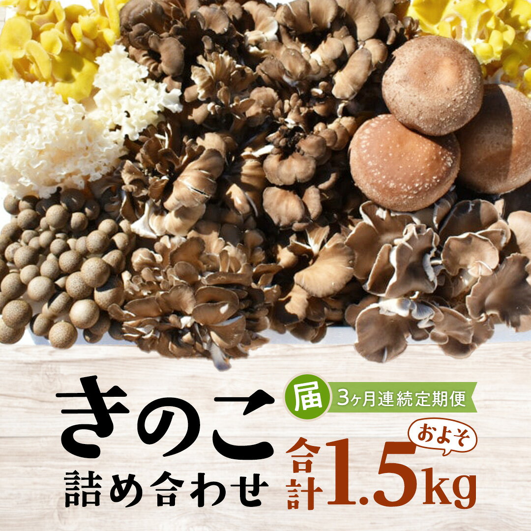 【ふるさと納税】【 3ヶ月連続定期便 】きのこ の詰め合わせ Mサイズ ( 約1.5kg ) (茨城県共通返礼品:城里町) キノコ セット 野菜 低カロリー ダ...