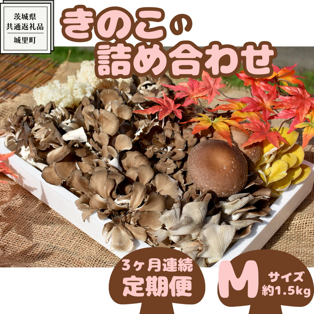 【ふるさと納税】【 3ヶ月連続定期便 】きのこ の詰め合わせ Mサイズ ( 約1.5kg ) （茨城県共通返礼品...