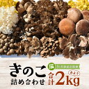【ふるさと納税】【3ヶ月定期便】きのこ の 詰め合わせ Lサイズ( 約2kg ) (茨城県共通返礼品:城里町) キノコ セット 野菜 低カロリー ダイエット デ...