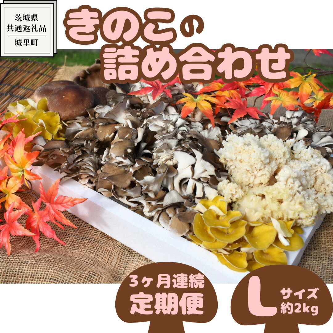 [3ヶ月定期便]きのこ の 詰め合わせ Lサイズ( 約2kg ) (茨城県共通返礼品:城里町) キノコ セット 野菜 低カロリー ダイエット デトックス バラエティ セット 新鮮