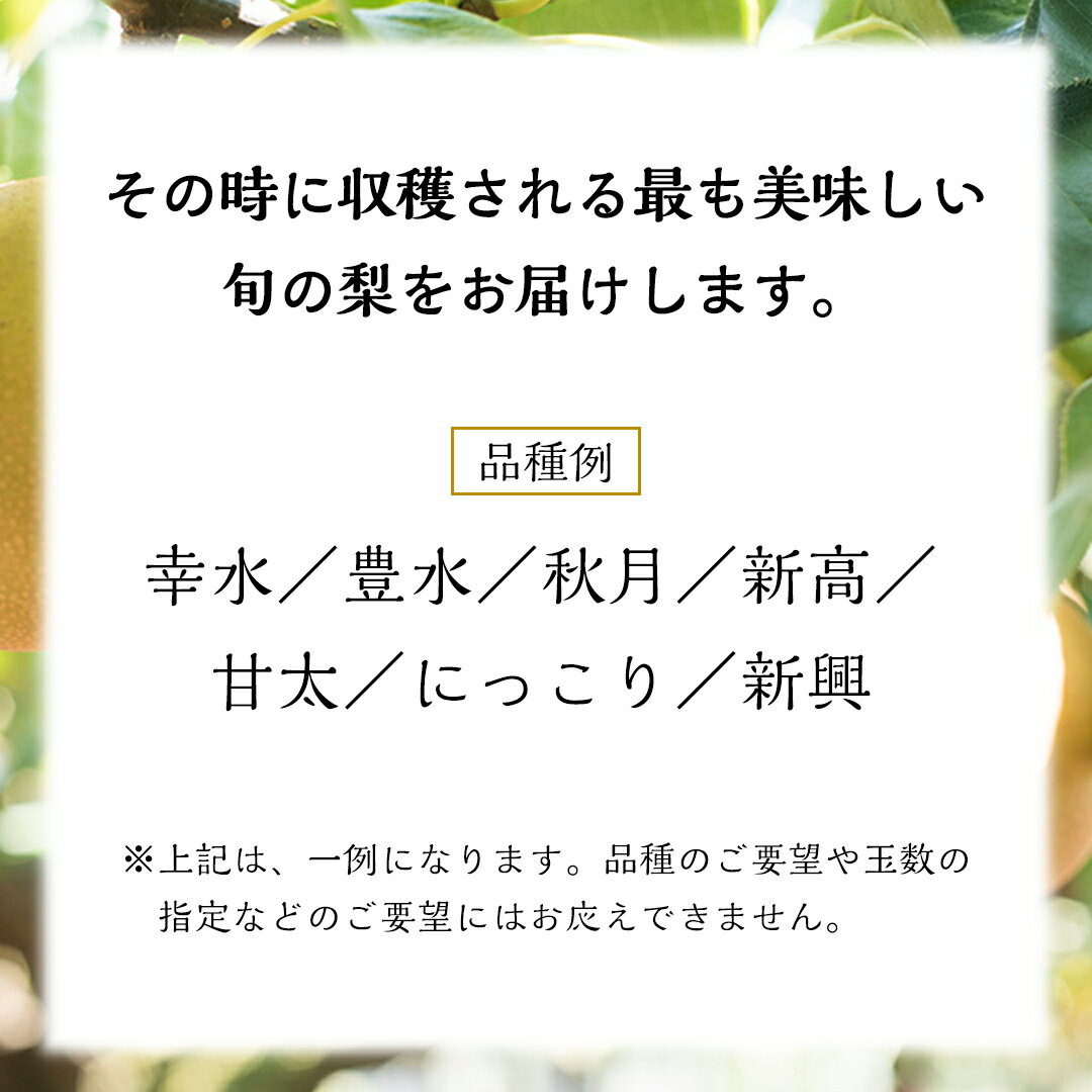 【ふるさと納税】《 先行予約 》 品種おまかせ 梨 約 5kg（ 茨城県共通返礼品： かすみがうら市 ）【 2024年 9月発送 】 フルーツ 果物 なし ナシ 旬 新鮮 旬 期間限定 甘い 国産