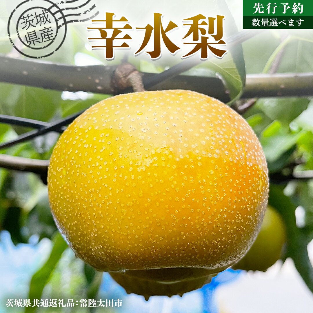 【ふるさと納税】【 先行予約 】茨城県産 梨 幸水 選べる内容量 約 3kg ~約 5kg ( 茨城県共通返礼品 : 常陸太田市 ) 【 2025年8月中旬発送予定】 フルーツ 果物 国産 日本産 梨 ナシ なし 和梨 期間限定 数量限定
