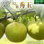 【ふるさと納税】【 先行予約 】茨城県産 梨 『幻の梨』 秀玉 選べる内容量 約 3kg ~約 5kg ( 茨城県共通返礼品 : 常陸太田市 ) 【 2025年 8月下旬頃より発送 】 フルーツ 果物 国産 日本産 梨 ナシ なし 和梨 期間限定 数量限定 14,000円