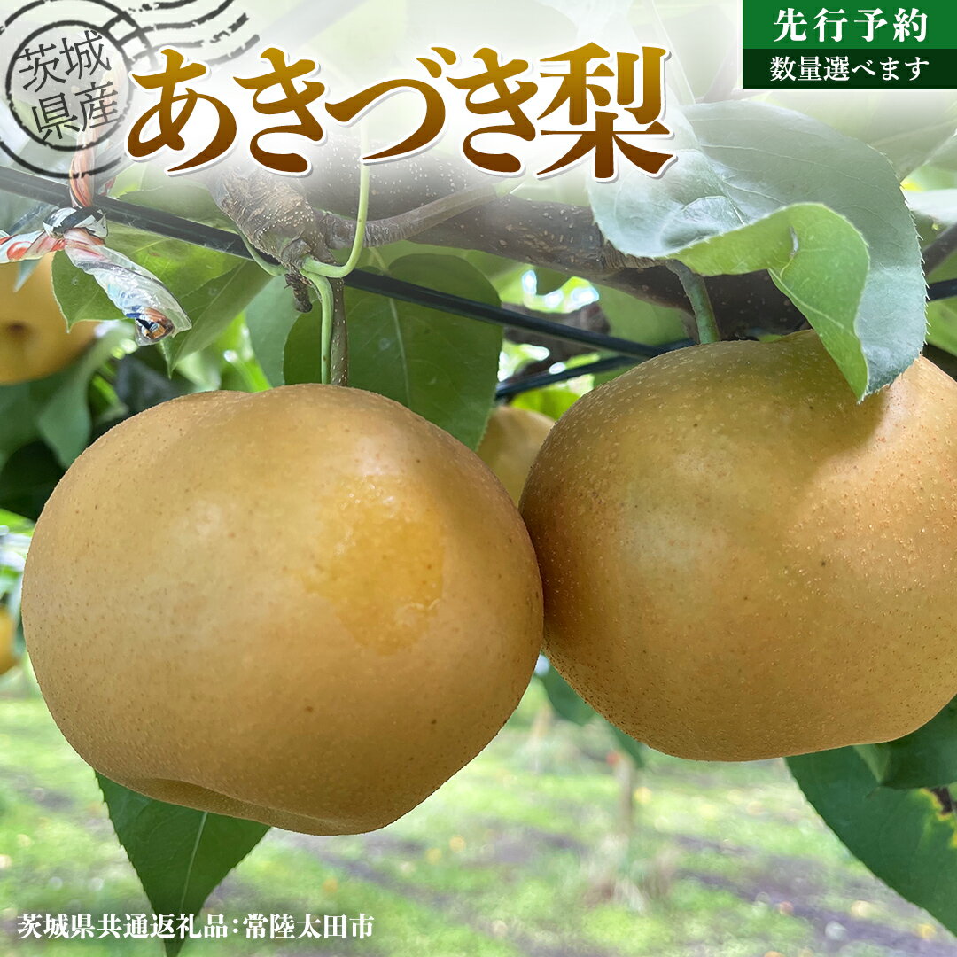 【ふるさと納税】【 先行予約 】茨城県産 梨 あきづき 選べる内容量 約 3kg ~約 5kg ( 茨城県共通返礼品 : 常陸太田市 ) 【 2025年 9月中旬頃より発送 】 フルーツ 果物 国産 日本産 梨 ナシ なし 和梨 秋月 期間限定 数量限定