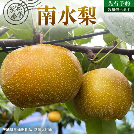【ふるさと納税】【 先行予約 】茨城県産 梨 南水 選べる内容量 約 3kg ~約 5kg ( 茨城県共通返礼品 : 常陸太田市 ) 【 2025年 9月中旬頃より発送 】 フルーツ 果物 国産 日本産 梨 ナシ なし 和梨 期間限定 数量限定 【ふるさと納税】【 先行予約 】茨城県産 梨 南水 選べる内容量 約 3kg ~約 5kg ( 茨城県共通返礼品 : 常陸太田市 ) 【 2025年 9月中旬頃より発送 】 フルーツ 果物 国産 日本産 梨 ナシ なし 和梨 期間限定 数量限定