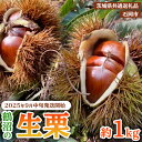 【ふるさと納税】【 2025年9月中旬発送開始 】石岡 鶴沼 の 生栗 \選べる内容量/約1kg〜3kg (茨城県共通返礼品:石岡市) 栗 くり クリ マロン ...
