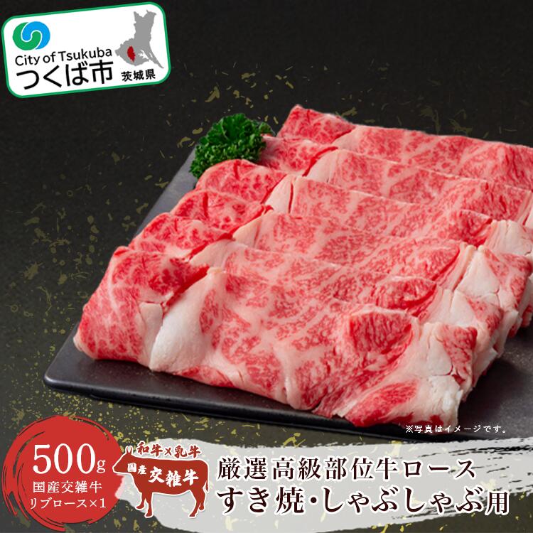 厳選高級部位牛ロース(すき焼き・しゃぶしゃぶ用) 500g | 茨城県 つくば市 国産牛 厳選 高級部位 すき焼き しゃぶしゃぶ リブロース 赤身肉 霜降り 1115090