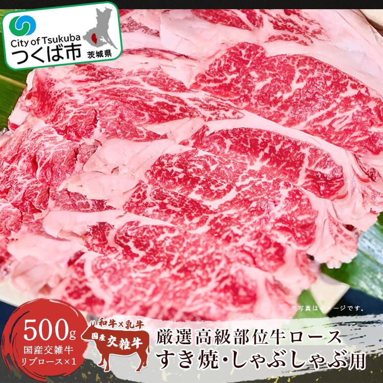 厳選高級部位牛ロース(すき焼き・しゃぶしゃぶ用) 500g | 茨城県 つくば市 国産牛 厳選 高級部位 すき焼き しゃぶしゃぶ リブロース 赤身肉 霜降り 1115090