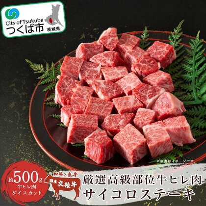 村下商事シリーズ 厳選高級部位 牛ヒレ肉 サイコロステーキ 500g | 茨城県 つくば市 牛肉 厳選 高級部位 焼肉 肉質 上質 ジューシー肉 牛ヒレ肉 牛 ヒレ サイコロス テーキ ジューシー 肉の女王 旨味 高品質 ギフト 1124500