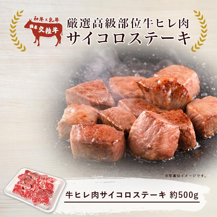 【ふるさと納税】村下商事シリーズ 厳選高級部位 牛ヒレ肉 サイコロステーキ 500g | 茨城県 つくば市 牛肉 厳選 高級部位 焼肉 肉質 上質 ジューシー肉 牛ヒレ肉 牛 ヒレ サイコロス テーキ ジューシー 肉の女王 旨味 高品質 ギフト 1124500