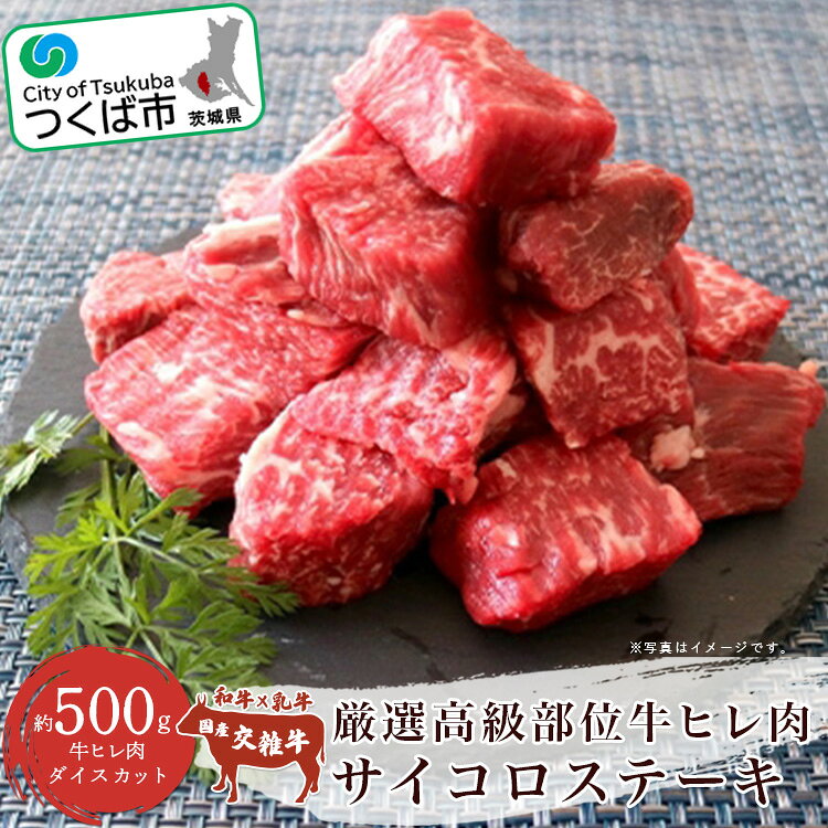 厳選高級部位 牛ヒレ肉 サイコロステーキ 500g＜離島・沖縄配送不可＞ 村下商事 | 茨城県 つくば市 牛肉 厳選 高級部位 焼肉 肉質 上質 ジューシー肉 牛ヒレ肉 牛 ヒレ サイコロス テーキ ジューシー 肉の女王 旨味 高品質 ギフト 冷凍