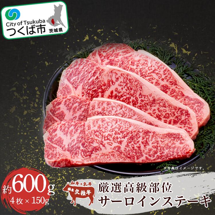 村下商事シリーズ 厳選高級部位 サーロインステーキ 4枚入り 約600g | 茨城県 つくば市 牛肉 サーロイン 国産 ステーキ 焼き肉 BBQ 厳選 高級 高品質 おいしい ジューシー 茨城県 つくば市 1314166