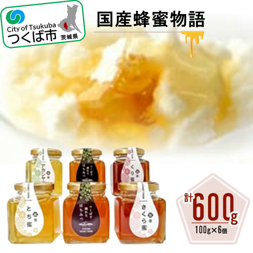 国産蜂蜜物語 国産はちみつ 100g×6個 ギフトセット | 茨城県 つくば市 栄養 ハチミツ 健康 贈り物 プレゼント 詰め合わせ ビタミン 朝食 疲労回復 自然食品 美容 ナチュラル 甘味料 純粋蜂蜜 腸内環境 抗菌作用 免疫機能 1365670