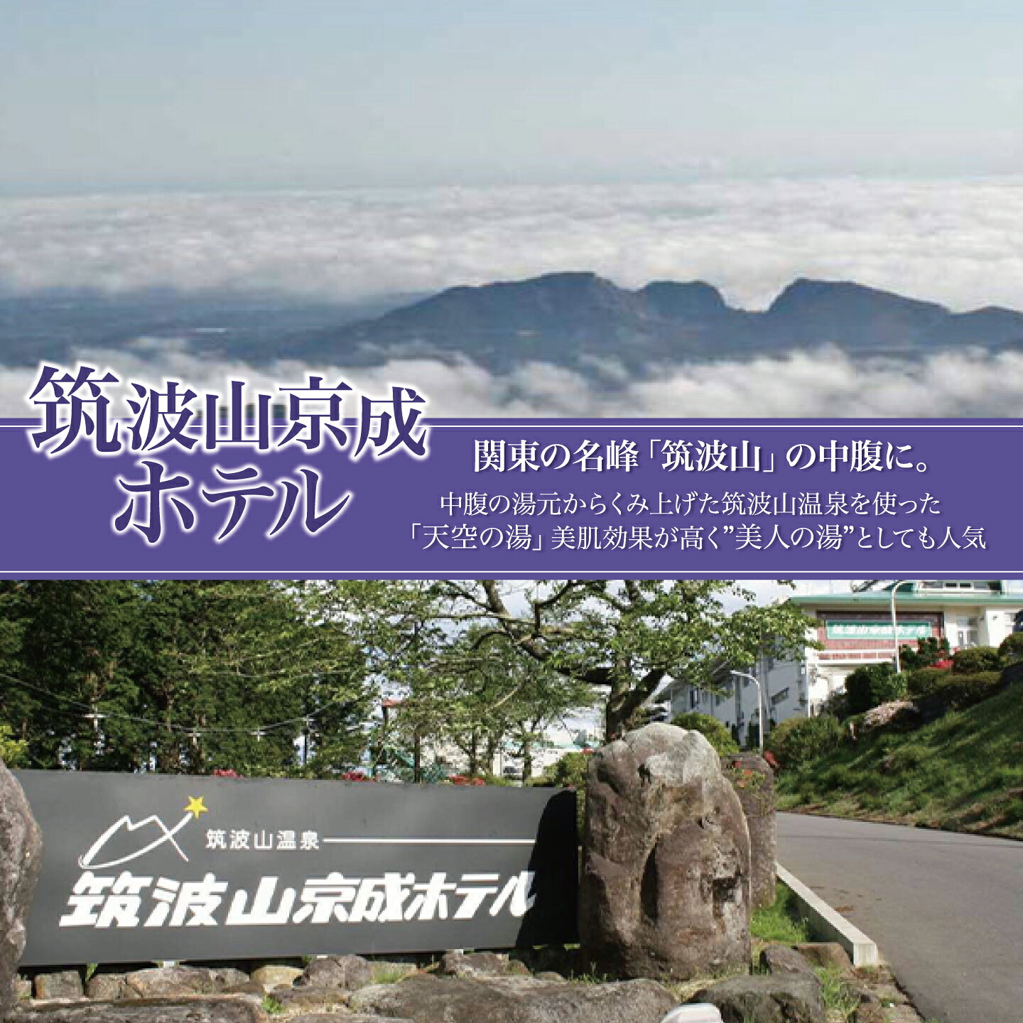 【ふるさと納税】宿泊券 筑波山京成ホテルペア（1泊2食付）｜茨城県 つくば市 ホテル 旅館 宿泊 宿 宿泊券 1泊 2食付き 旅行 ステイ 観光 カップル 夫婦 体験型 f082201-tsukuba-10000548 茨城県つくば市 サンプル画像2