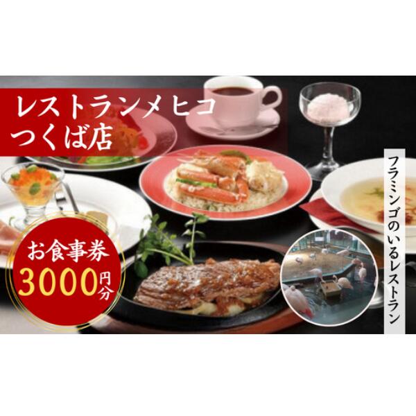 レストランメヒコ つくば店 お食事券 3,000円分|茨城県 つくば市 飲食券 レストラン券 食事クーポン ダイニングチケット 食事体験 食事割引 グルメチケット 食事ギフト レストランギフト 食事特典 食事カード レストランクーポン