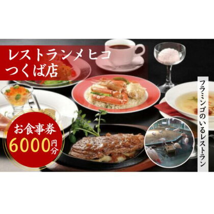 レストランメヒコ つくば店 お食事券 6,000円分【1286840】【飲食券 レストラン券 食事クーポン ダイニングチケット 食事体験 食事割引 グルメチケット 食事ギフト レストランギフト 食事特典 食事カード レストランクーポン 茨城県 つくば市】