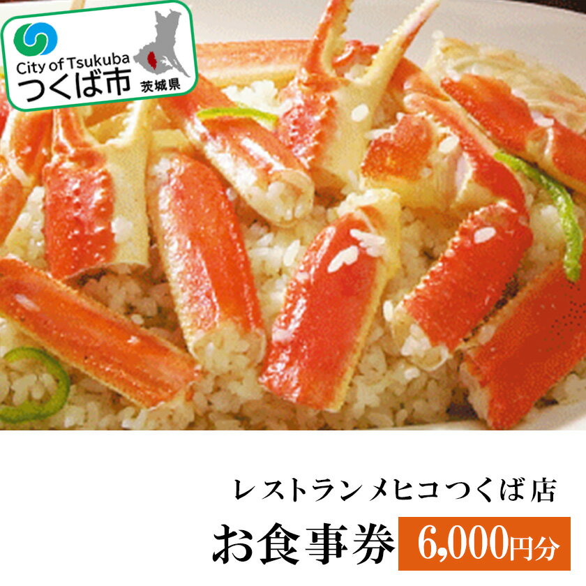 【ふるさと納税】レストランメヒコ つくば店 お食事券 6,000円分 | 茨城県 つくば市 飲食券 レストラン券 食事クーポン ダイニングチケット 食事体験 食事割引 グルメチケット 食事ギフト レストランギフト 食事特典 食事カード レストランクーポン 1286840