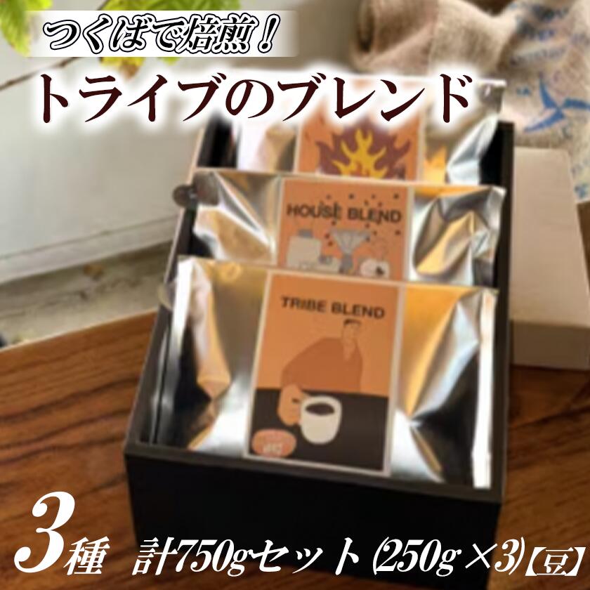 つくばで焙煎!トライブのブレンド3種 計750gセット(250g×3)[豆]