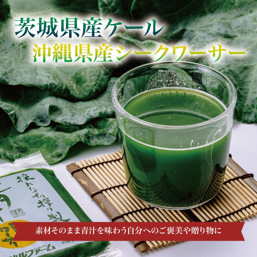 【ふるさと納税】青汁 シークワーサー入 100g×30パック【12ヵ月定期便】離島・沖縄配送不可 | 茨城県 つくば市 飲料 ドリンク 青汁 あおじる 健康 無添加 有機ケール オーガニックケール