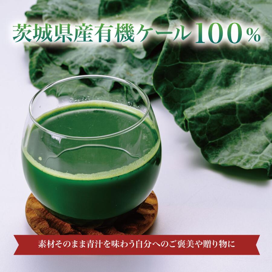 【ふるさと納税】有機青汁百 100g×30パック【12ヵ月定期便】＜離島・沖縄配送不可＞ | 茨城県 つくば市 飲料 ドリンク 青汁 あおじる 健康 無添加 有機 オーガニック