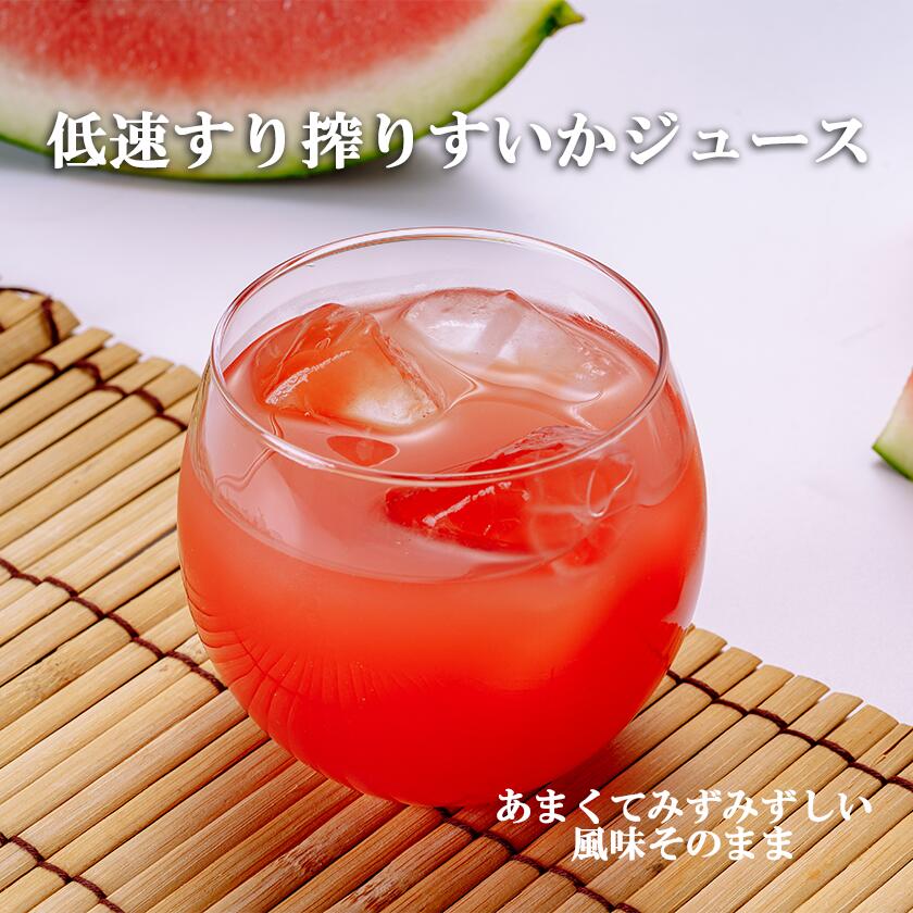 【ふるさと納税】すいかジュース 100g×15パック＜離島・沖縄配送不可＞ | 茨城県 つくば市 すいか100% 西瓜 飲料 ドリンク フルーツジュース スイカ 健康 無添加 おすすめ 果物 フルーツ 野菜ジュース 冷凍 お歳暮 つくば つくば市産 茨城県産 100% スイカ お中元